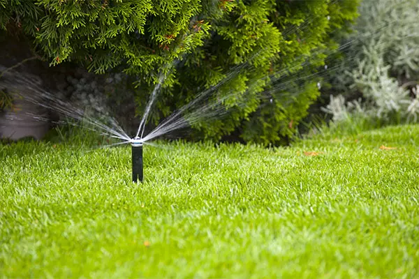 Facilitez votre vie et préservez votre jardin